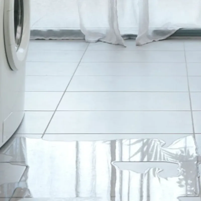 Appliance Leak Cleanup in Charter Oak, CA