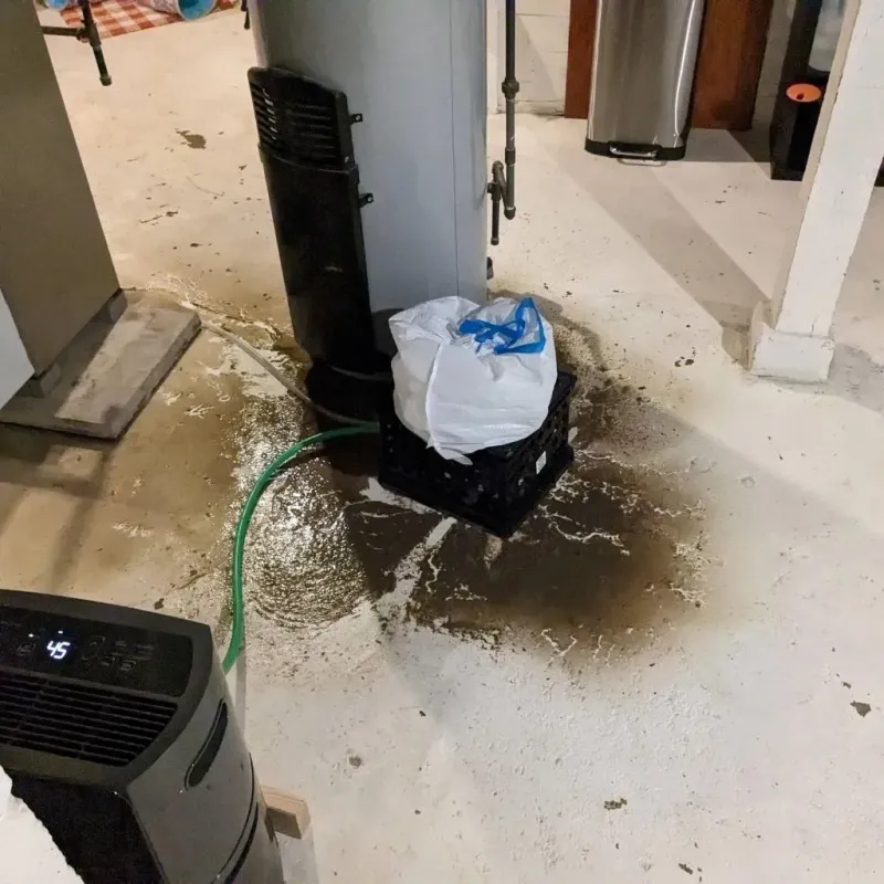 Sewage Backup Cleanup Service in Charter Oak, CA